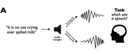 Can You Hear Me Now Diagram